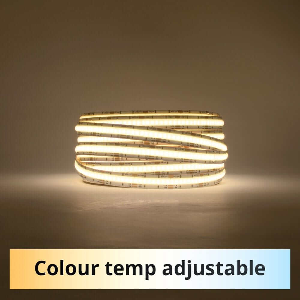 12mm | 24W/m DTW 2700K - 6500K | IP20 | COB Dot Free LED Strip Light-IP20 COB STRIP LIGHTING-Lighting Creations