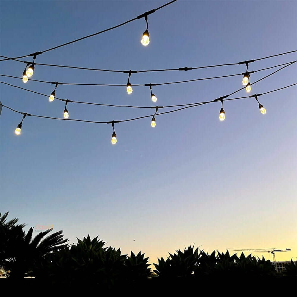 15m Smart Festoon String Lights with 15 LED Bulbs Liquidleds, Festoon String, 15m-smart-festoon-string-lights-with-15-led-bulbs