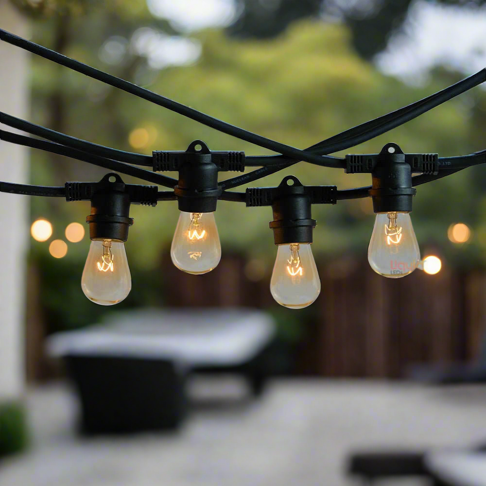 10m Black Festoon String Lights with 10 Bulb Plug in Kit