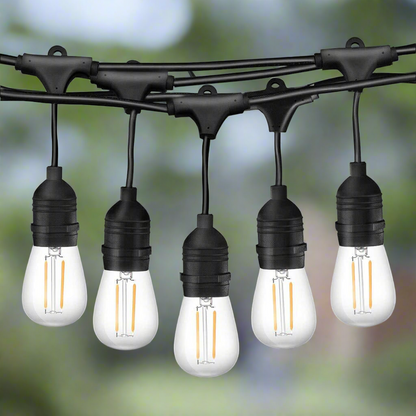 60m Black Hanging Festoon String Lights with 60 Bulb Plug in Kit