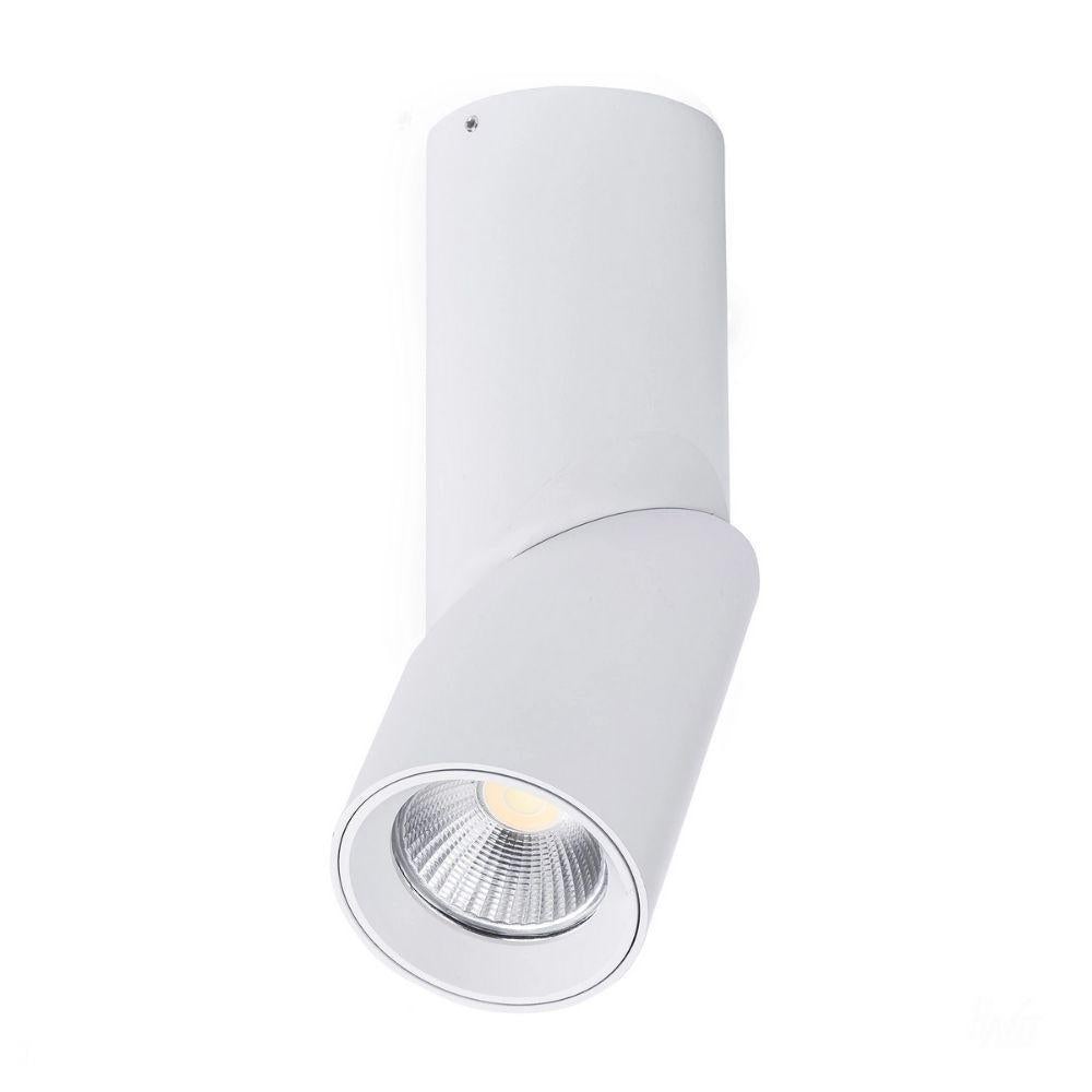 Havit NELLA - 7W/12W/18W/24W LED Tri-Colour Dimmable Adjustable Surface Mount Downlight IP54-DOWNLIGHTS-Havit Lighting