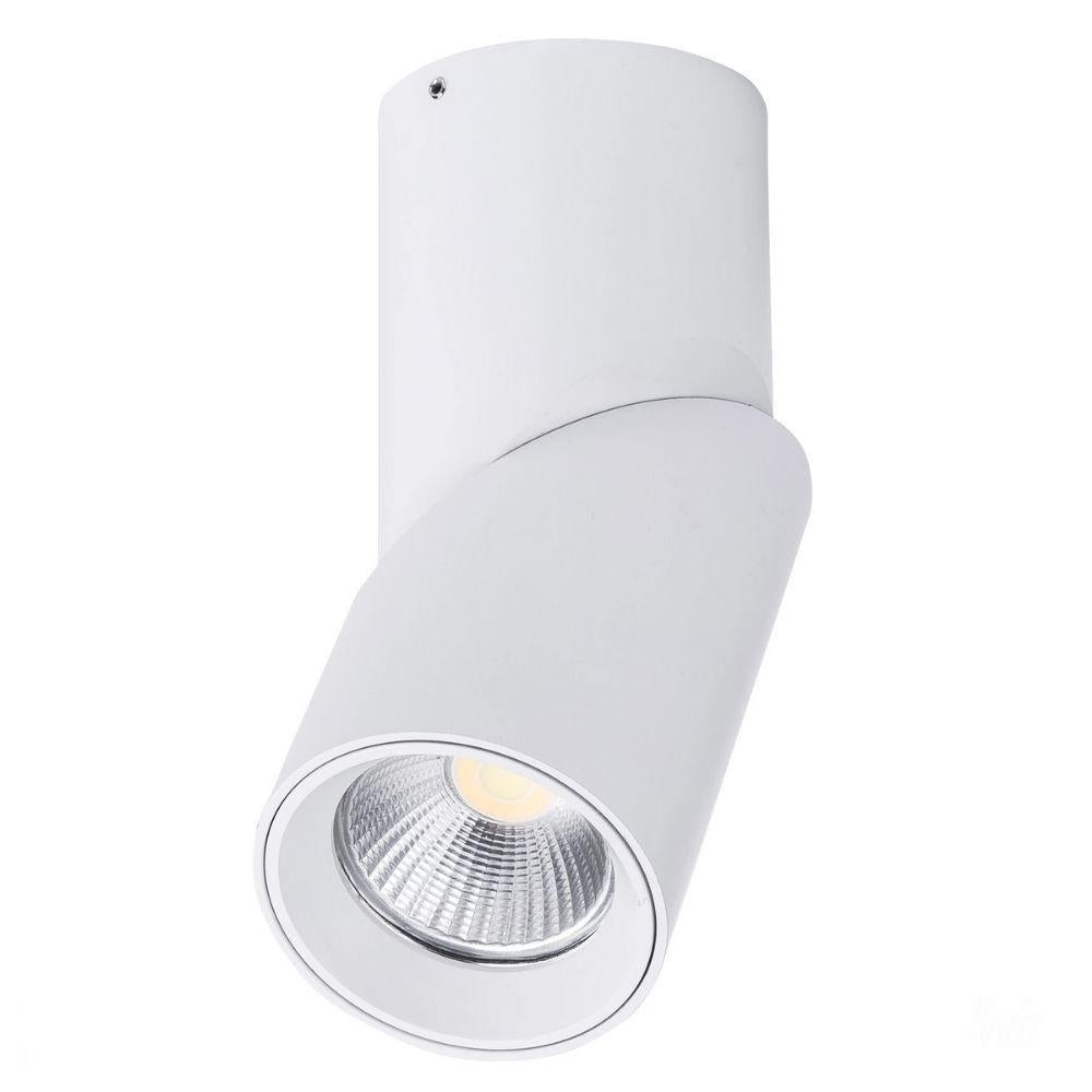 Havit NELLA - 7W/12W/18W/24W LED Tri-Colour Dimmable Adjustable Surface Mount Downlight IP54-DOWNLIGHTS-Havit Lighting